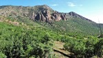 photo thumbnail #2