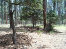 photo thumbnail #5