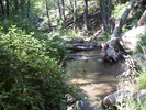 photo thumbnail #8