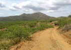 photo thumbnail #8
