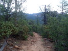 photo thumbnail #2
