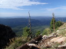 photo thumbnail #10