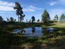 photo thumbnail #12