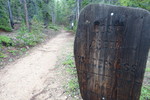 photo thumbnail #8