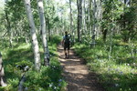 photo thumbnail #12