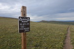 photo of comment