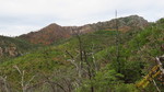 photo thumbnail #6