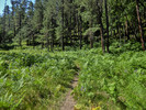 photo thumbnail #4