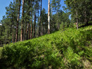 photo thumbnail #7
