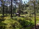 photo thumbnail #15