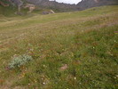 photo thumbnail #8