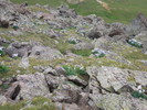 photo thumbnail #10