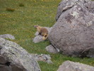photo thumbnail #12