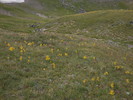 photo thumbnail #13