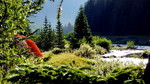 photo thumbnail #5