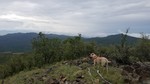 photo thumbnail #10