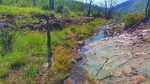 photo thumbnail #10