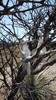 photo thumbnail #15