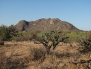 photo thumbnail #2
