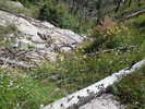 photo thumbnail #6