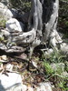 photo thumbnail #10