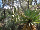 photo thumbnail #11