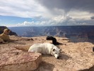 photo thumbnail #6