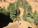 photo thumbnail #5