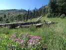photo thumbnail #12
