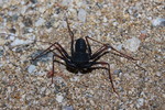 photo thumbnail #3