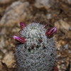 photo thumbnail #5