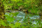 photo thumbnail #9
