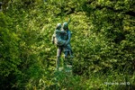 photo thumbnail #13