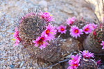 photo thumbnail #6