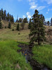 photo thumbnail #7