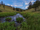 photo thumbnail #9