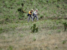 photo thumbnail #10