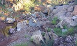 photo thumbnail #2