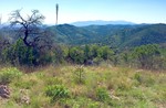 photo thumbnail #8