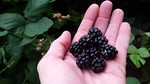photo thumbnail #1