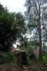 photo thumbnail #4