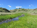 photo thumbnail #15
