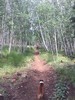 photo thumbnail #1