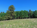 photo thumbnail #8