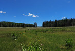 photo thumbnail #14