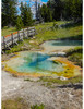 photo thumbnail #11