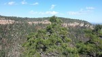 photo thumbnail #11