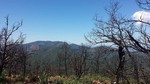 photo thumbnail #15