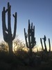 photo thumbnail #10