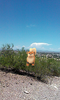 photo thumbnail #1